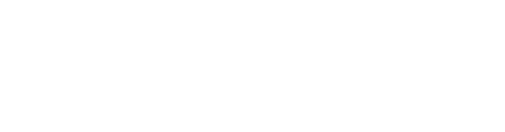 ES_Financiado_por_la_Unión_Europea_RGB_WHITE_Outline