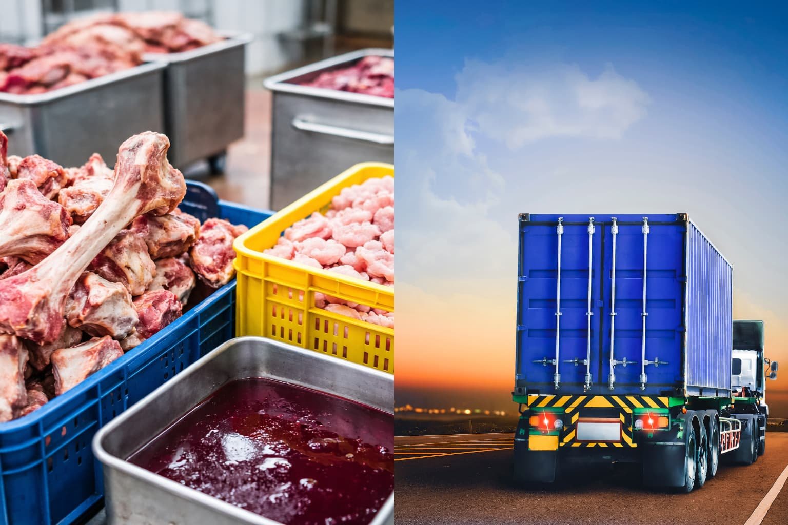 Subproductos cárnicos y transporte